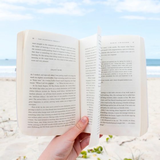 The Perfect Formula for Holiday Reading