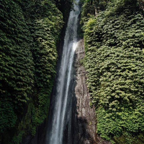 “Brazil First” Is Destroying the Country – and the Planet