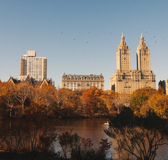 The Brutal Story Behind Central Park