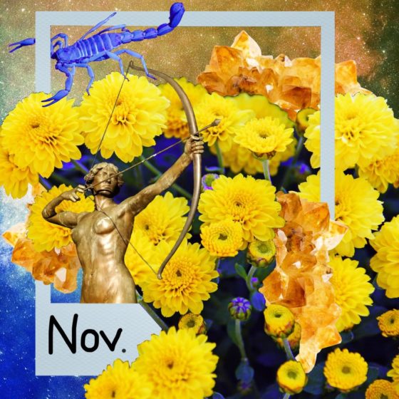 November Horoscopes