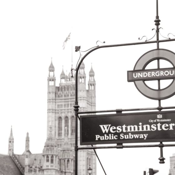 What I Learnt as a Female Party Activist