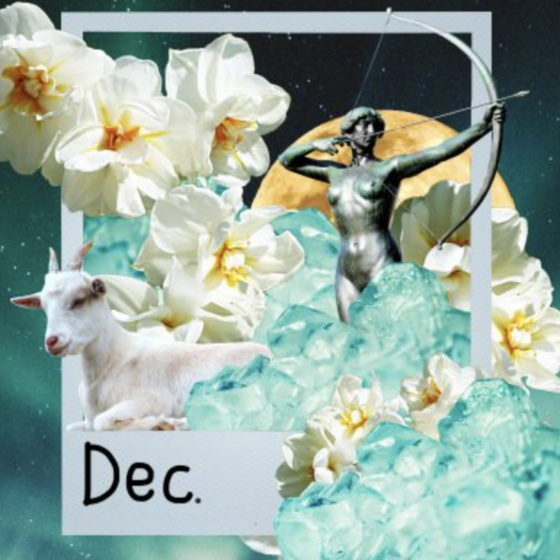 December Horoscopes