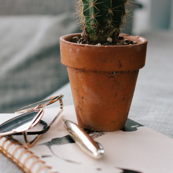 5 Ways to Kill It While Working At Home