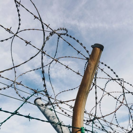 Blurred Lines and Border Controls