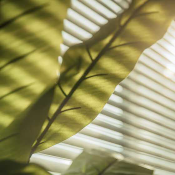 Simple Steps to Ease Lockdown Anxiety