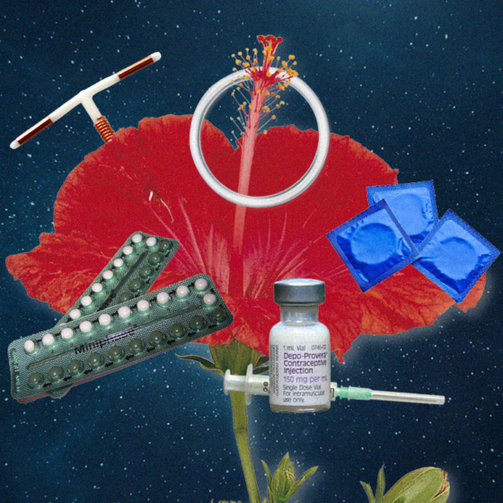 Is Pushing Contraception Ethical?