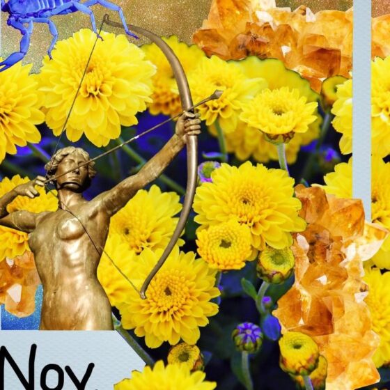 November Horoscopes