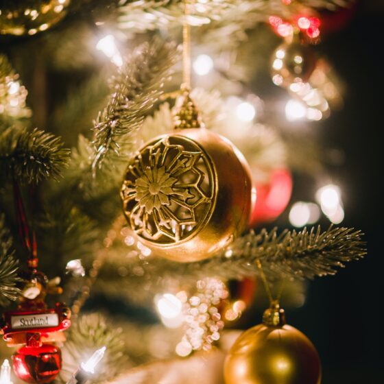 I’m Skipping the Holidays Because of Politics